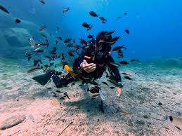 Scuba Diving